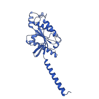 35463_8ij3_C_v1-0
Cryo-EM structure of human HCAR2-Gi complex without ligand (apo state)