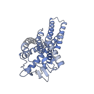 35483_8ija_A_v1-0
Cryo-EM structure of human HCAR2-Gi complex with niacin