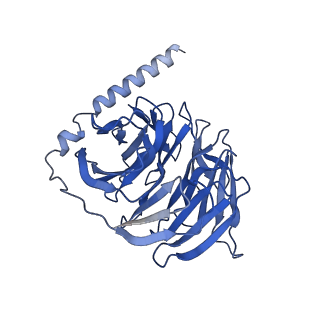35483_8ija_B_v1-0
Cryo-EM structure of human HCAR2-Gi complex with niacin