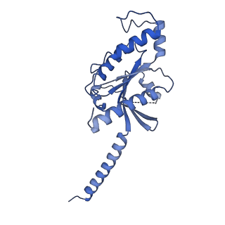 35483_8ija_C_v1-0
Cryo-EM structure of human HCAR2-Gi complex with niacin