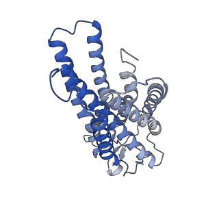 35484_8ijb_A_v1-0
Cryo-EM structure of human HCAR2-Gi complex with acipimox