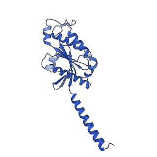 35484_8ijb_C_v1-0
Cryo-EM structure of human HCAR2-Gi complex with acipimox