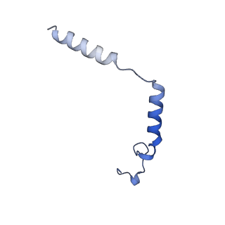 35484_8ijb_G_v1-0
Cryo-EM structure of human HCAR2-Gi complex with acipimox