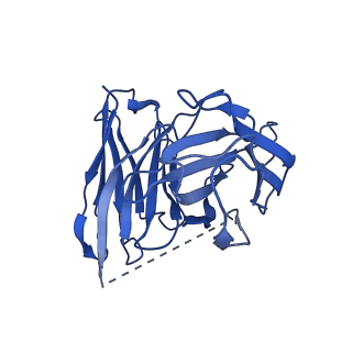 35484_8ijb_S_v1-0
Cryo-EM structure of human HCAR2-Gi complex with acipimox