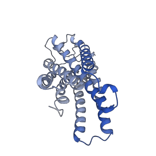 35485_8ijd_A_v1-0
Cryo-EM structure of human HCAR2-Gi complex with MK-6892