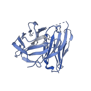 35485_8ijd_S_v1-0
Cryo-EM structure of human HCAR2-Gi complex with MK-6892