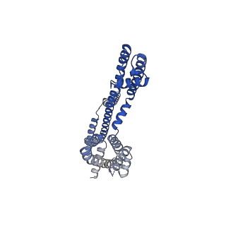 35487_8ijk_C_v1-0
human KCNQ2-CaM-Ebio1 complex in the presence of PIP2