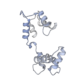 35487_8ijk_E_v1-0
human KCNQ2-CaM-Ebio1 complex in the presence of PIP2