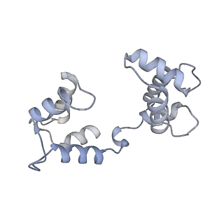 35487_8ijk_G_v1-0
human KCNQ2-CaM-Ebio1 complex in the presence of PIP2
