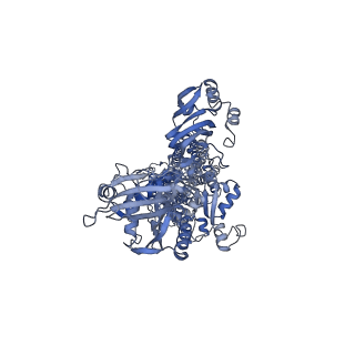 35488_8ijl_A_v1-0
Cyo-EM structure of wildtype non-gastric proton pump in the presence of Na+, AlF and ADP