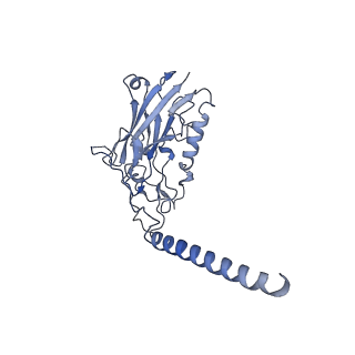 35488_8ijl_B_v1-0
Cyo-EM structure of wildtype non-gastric proton pump in the presence of Na+, AlF and ADP
