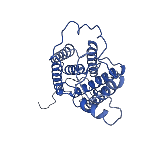 35492_8ijq_A_v1-1
The cryo-EM structure of human sphingomyelin synthase-related protein in complex with ceramide