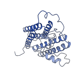 35492_8ijq_C_v1-1
The cryo-EM structure of human sphingomyelin synthase-related protein in complex with ceramide