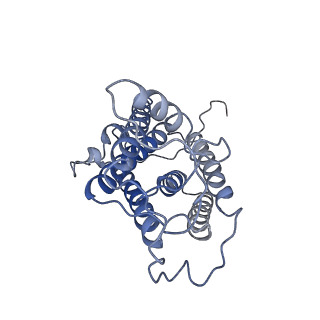 35492_8ijq_D_v1-1
The cryo-EM structure of human sphingomyelin synthase-related protein in complex with ceramide