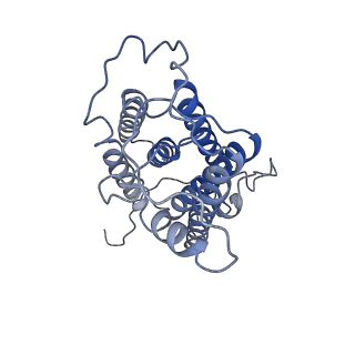 35492_8ijq_E_v1-1
The cryo-EM structure of human sphingomyelin synthase-related protein in complex with ceramide