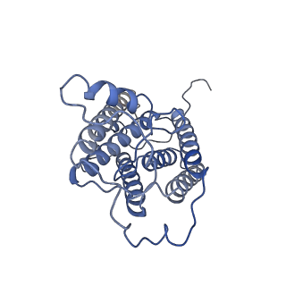 35493_8ijr_A_v1-1
The cryo-EM structure of human sphingomyelin synthase-related protein in complex with diacylglycerol/phosphoethanolamine