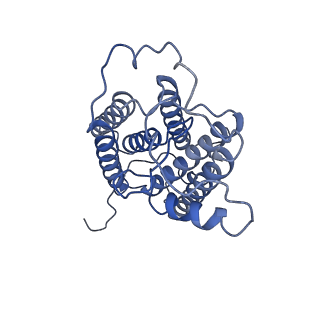 35493_8ijr_B_v1-1
The cryo-EM structure of human sphingomyelin synthase-related protein in complex with diacylglycerol/phosphoethanolamine