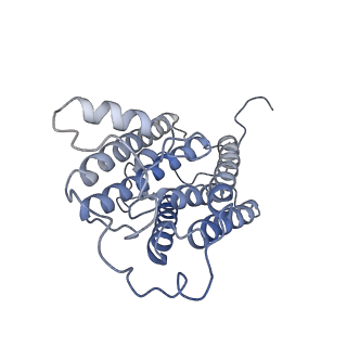 35493_8ijr_C_v1-1
The cryo-EM structure of human sphingomyelin synthase-related protein in complex with diacylglycerol/phosphoethanolamine