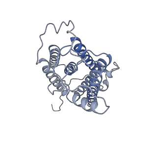 35493_8ijr_D_v1-1
The cryo-EM structure of human sphingomyelin synthase-related protein in complex with diacylglycerol/phosphoethanolamine