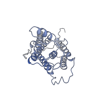 35493_8ijr_E_v1-1
The cryo-EM structure of human sphingomyelin synthase-related protein in complex with diacylglycerol/phosphoethanolamine