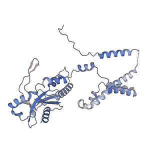 35503_8ik0_B_v1-0
Cryo-EM structure of Stimulator of interferon genes