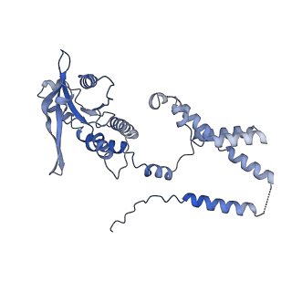 35503_8ik0_C_v1-0
Cryo-EM structure of Stimulator of interferon genes