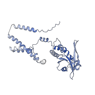 35503_8ik0_D_v1-0
Cryo-EM structure of Stimulator of interferon genes