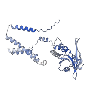 35503_8ik0_E_v1-0
Cryo-EM structure of Stimulator of interferon genes