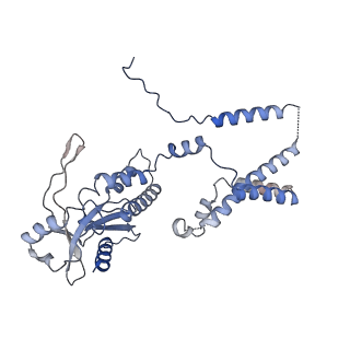 35503_8ik0_F_v1-0
Cryo-EM structure of Stimulator of interferon genes