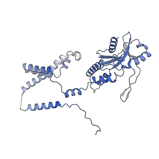 35503_8ik0_G_v1-0
Cryo-EM structure of Stimulator of interferon genes