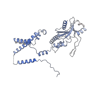 35503_8ik0_H_v1-0
Cryo-EM structure of Stimulator of interferon genes