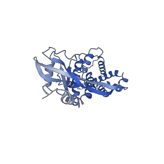 35504_8ik3_B_v1-0
Structure of Stimulator of interferon genes/ligand complex