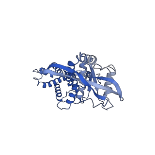 35504_8ik3_C_v1-0
Structure of Stimulator of interferon genes/ligand complex