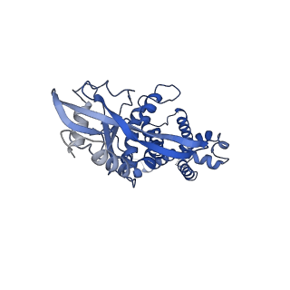 35504_8ik3_D_v1-0
Structure of Stimulator of interferon genes/ligand complex