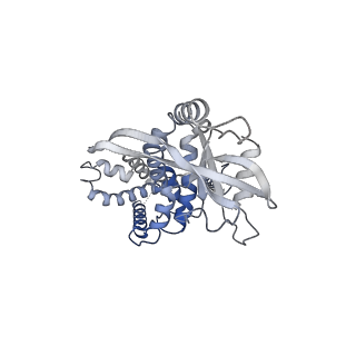 35504_8ik3_E_v1-0
Structure of Stimulator of interferon genes/ligand complex