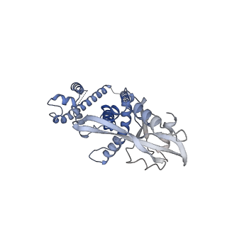 35504_8ik3_F_v1-0
Structure of Stimulator of interferon genes/ligand complex