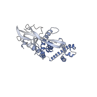 35504_8ik3_G_v1-0
Structure of Stimulator of interferon genes/ligand complex