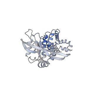 35504_8ik3_H_v1-0
Structure of Stimulator of interferon genes/ligand complex