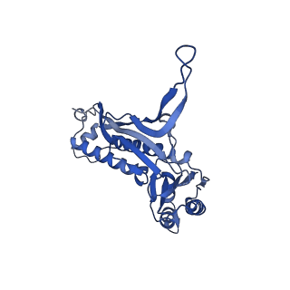35507_8ika_A1_v1-0
Cryo-EM structure of the encapsulin shell from Mycobacterium tuberculosis