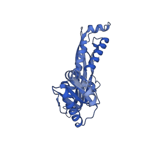 35507_8ika_A2_v1-0
Cryo-EM structure of the encapsulin shell from Mycobacterium tuberculosis