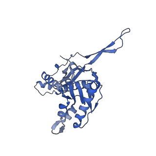 35507_8ika_A3_v1-0
Cryo-EM structure of the encapsulin shell from Mycobacterium tuberculosis