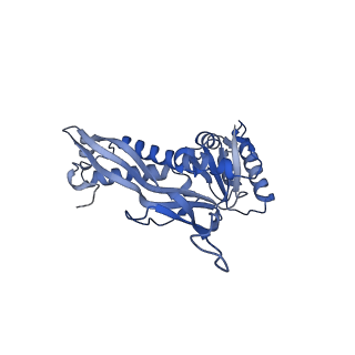 35507_8ika_A4_v1-0
Cryo-EM structure of the encapsulin shell from Mycobacterium tuberculosis