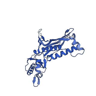 35507_8ika_A5_v1-0
Cryo-EM structure of the encapsulin shell from Mycobacterium tuberculosis