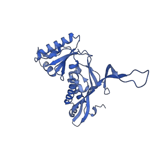 35507_8ika_A6_v1-0
Cryo-EM structure of the encapsulin shell from Mycobacterium tuberculosis