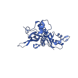 35507_8ika_A8_v1-0
Cryo-EM structure of the encapsulin shell from Mycobacterium tuberculosis