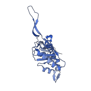 35507_8ika_A9_v1-0
Cryo-EM structure of the encapsulin shell from Mycobacterium tuberculosis