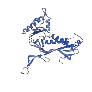 35507_8ika_AA_v1-0
Cryo-EM structure of the encapsulin shell from Mycobacterium tuberculosis