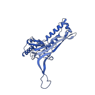 35507_8ika_AB_v1-0
Cryo-EM structure of the encapsulin shell from Mycobacterium tuberculosis