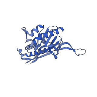 35507_8ika_AC_v1-0
Cryo-EM structure of the encapsulin shell from Mycobacterium tuberculosis