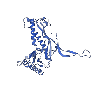 35507_8ika_AD_v1-0
Cryo-EM structure of the encapsulin shell from Mycobacterium tuberculosis